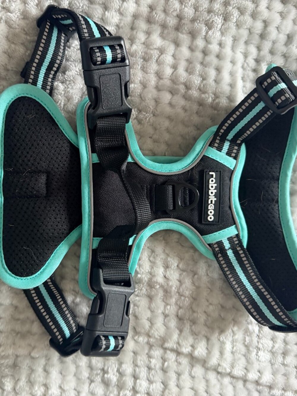 rabbitgoo Dog Harness No Pull with 2 Leash Clips, Adjustable Soft Padded
